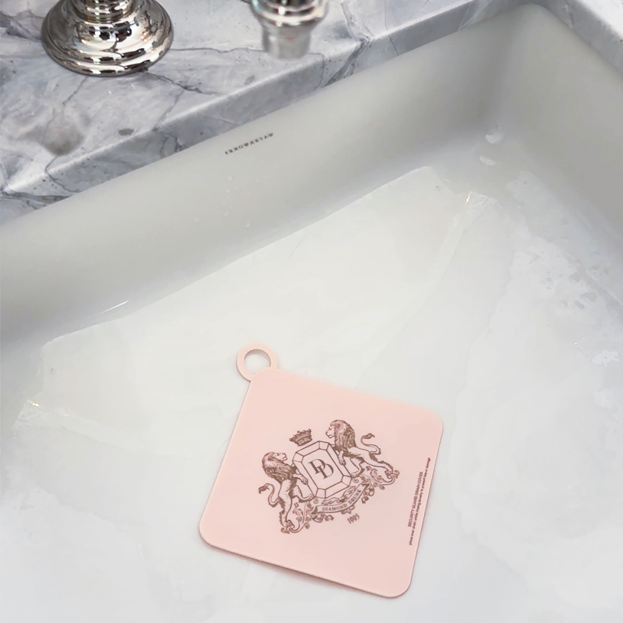 Security Guard Drain Cover